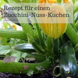 zucchinikuchen