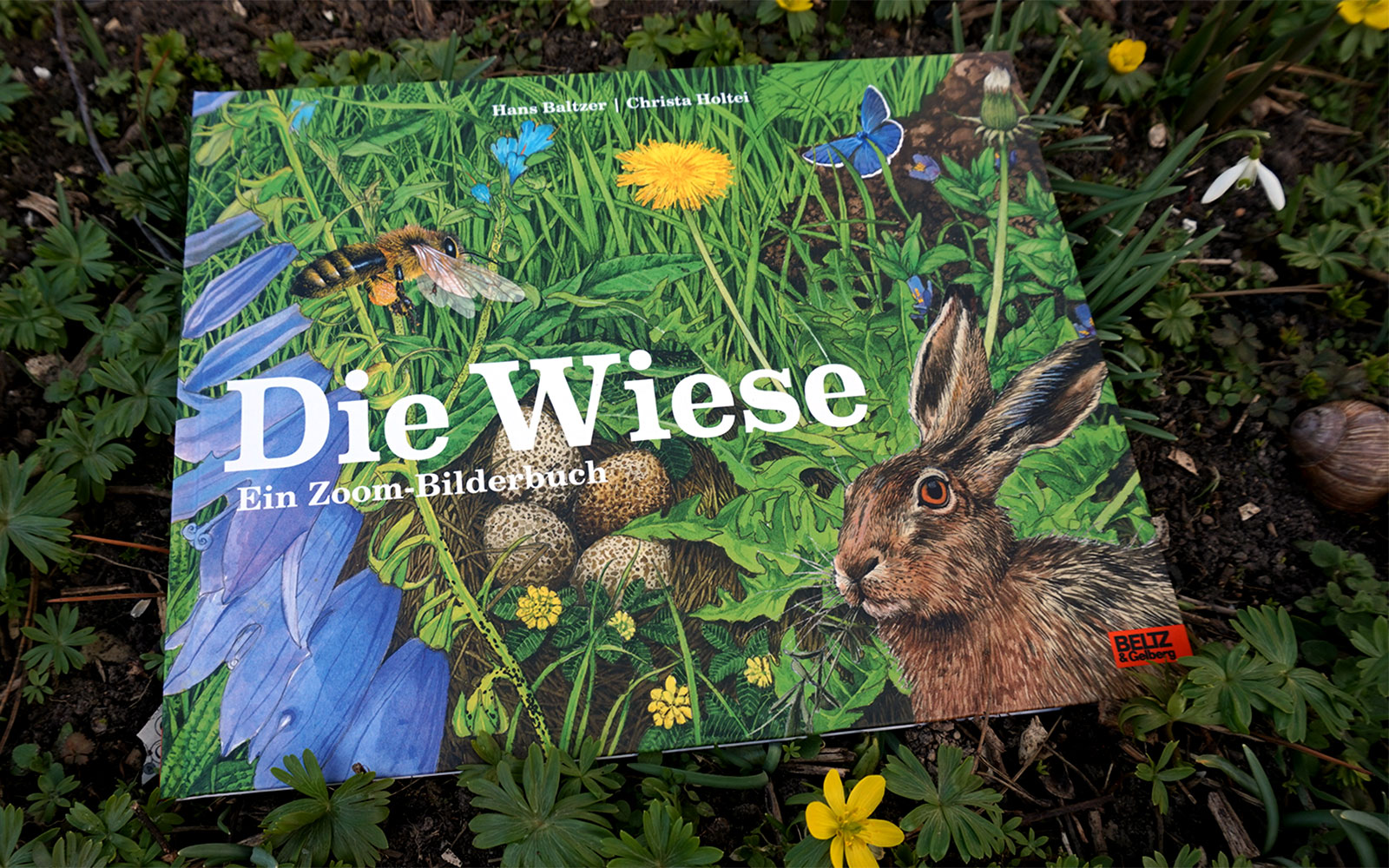 Mit Kindern Entdecken: Was Lebt In Der Wiese? - Zweitöchter