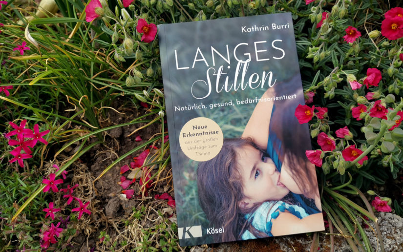 Rezension Buch "Langes Stillen" Cover