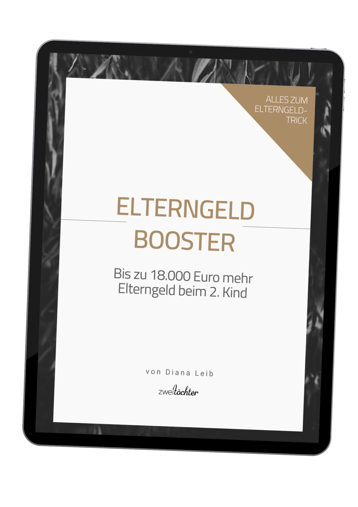 ELTERNGELD BOOSTER - Mehr Elterngeld Beim 2. Kind - Zweitöchter